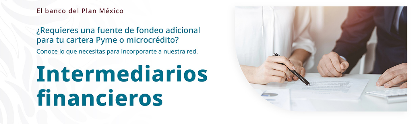 Intermediarios Financieros