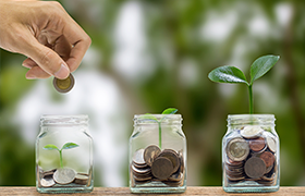 Seccion - Sostenibilidad