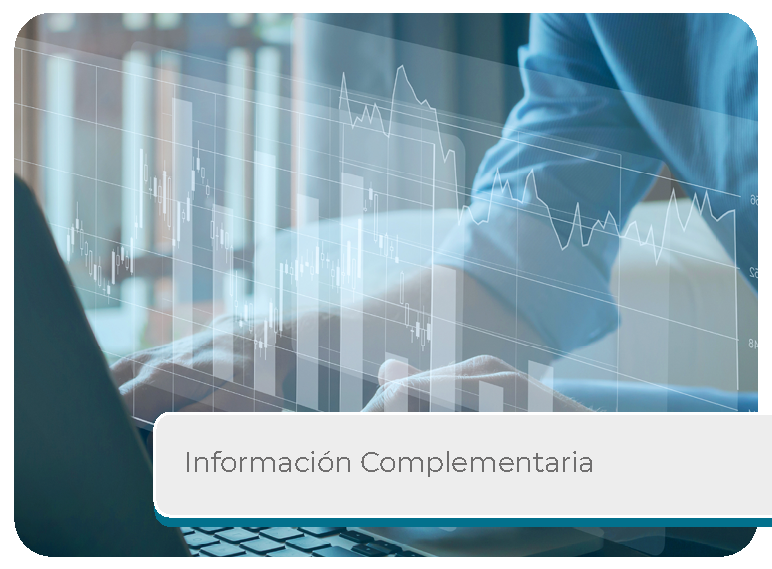 Informaci�n Complementaria Mini