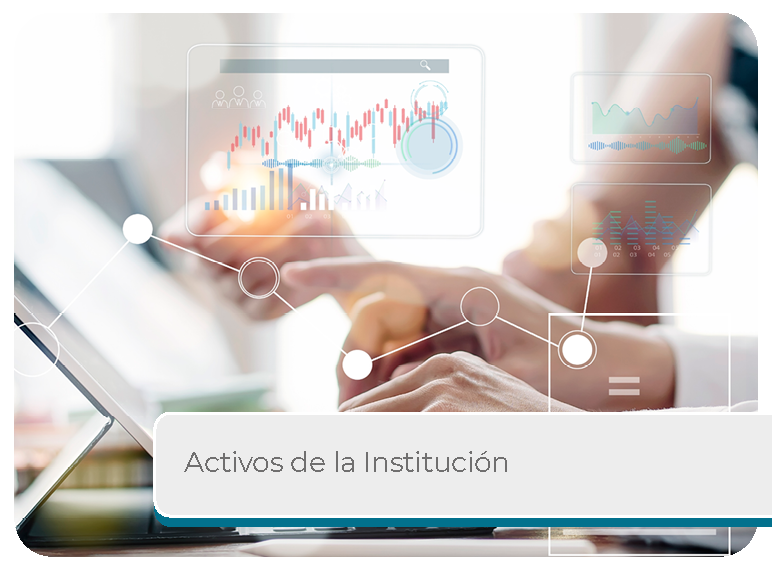 Activos de la Instituci�n Mini