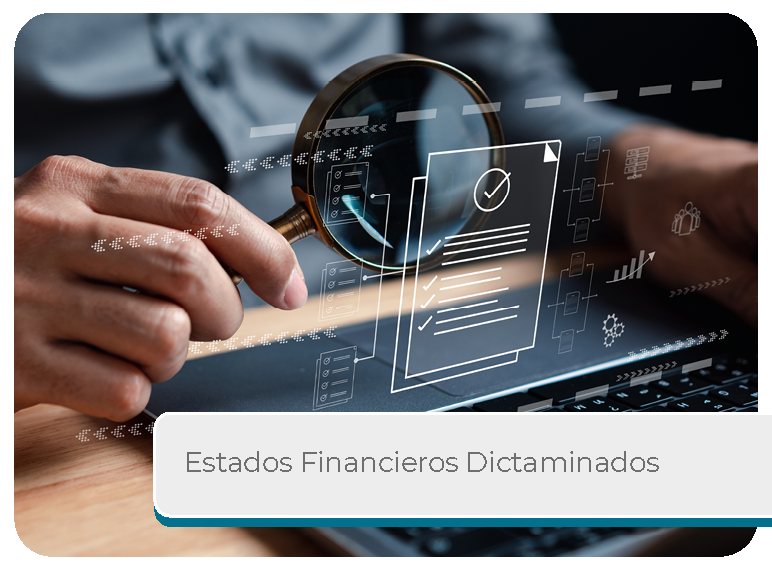 Estados Financieros Dictaminados Mini
