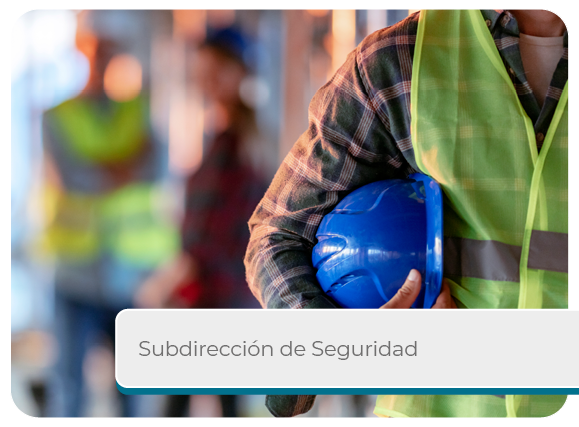 Subdirecci�n de Seguridad Mini