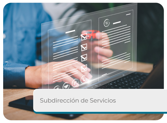 Subdirecci�n de Servicios Mini