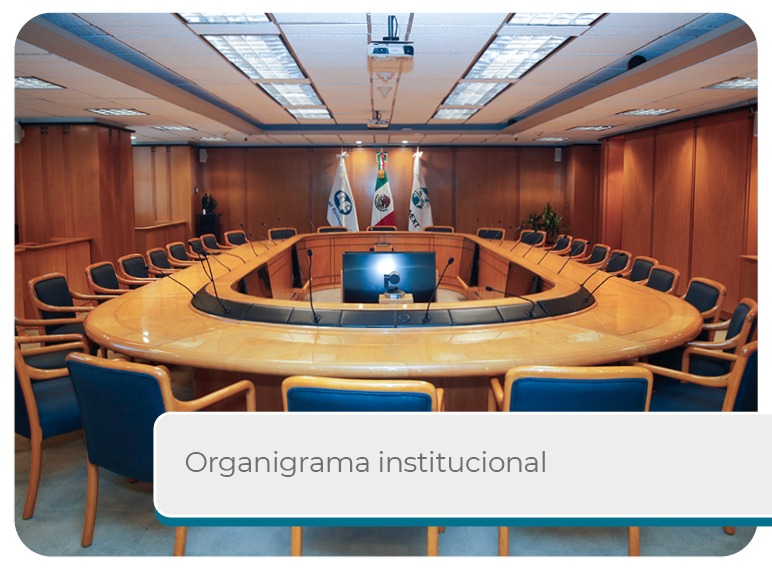 Organigrama Institucional Mini