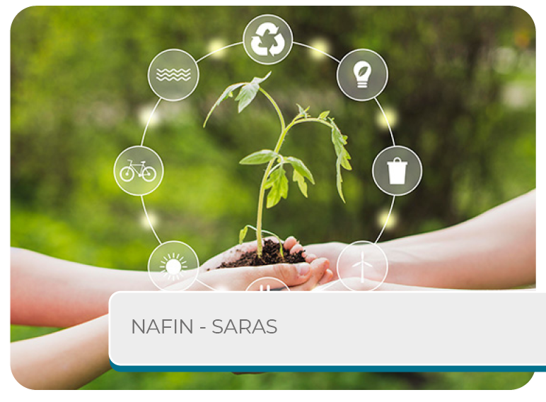 NAFIN - SARAS Mini