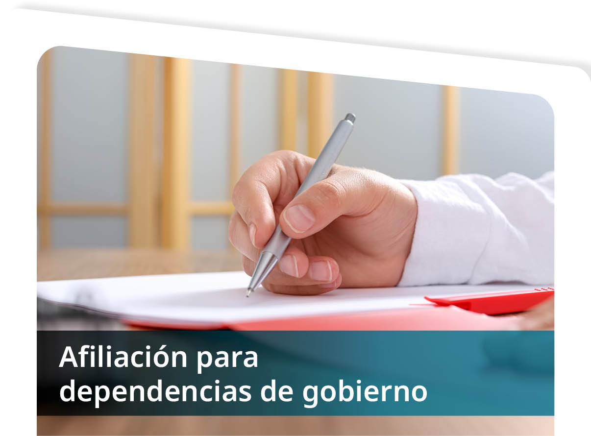 Afiliaci�n para Dependencias del Gobierno Mini