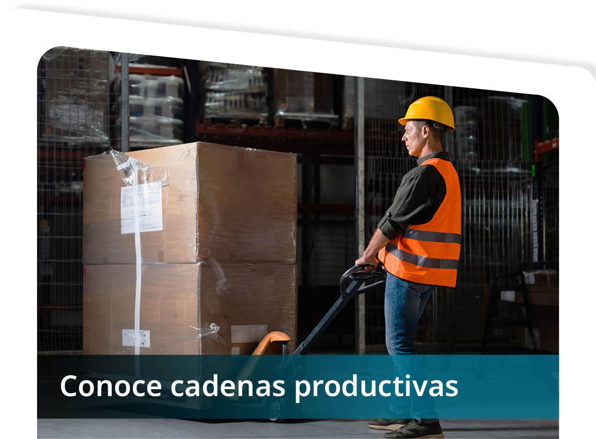 Conoce Cadenas Productivas  Mini