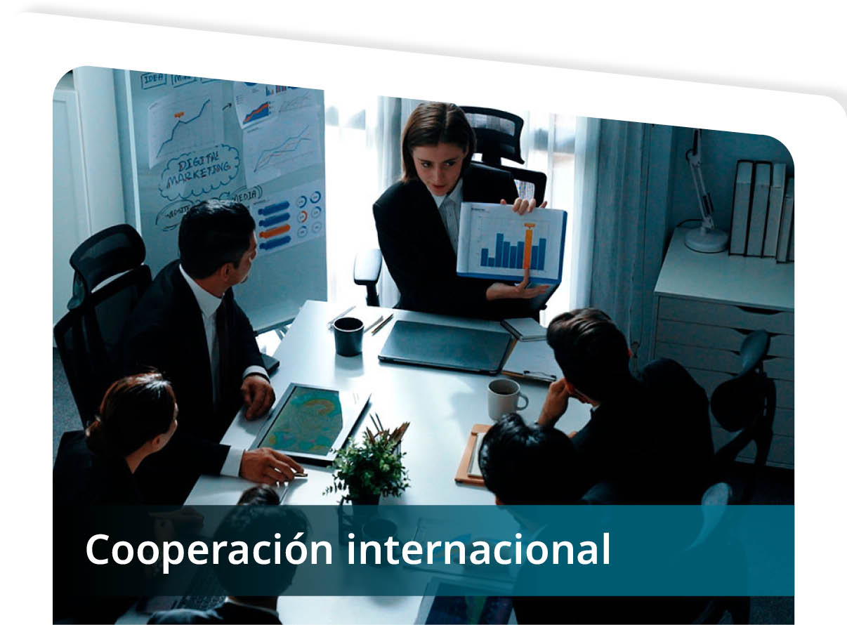 Cooperaci�n Internacional Mini