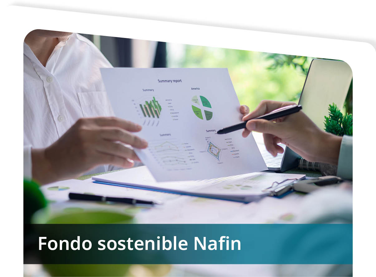 Fondo Sostenible Nafin Mini