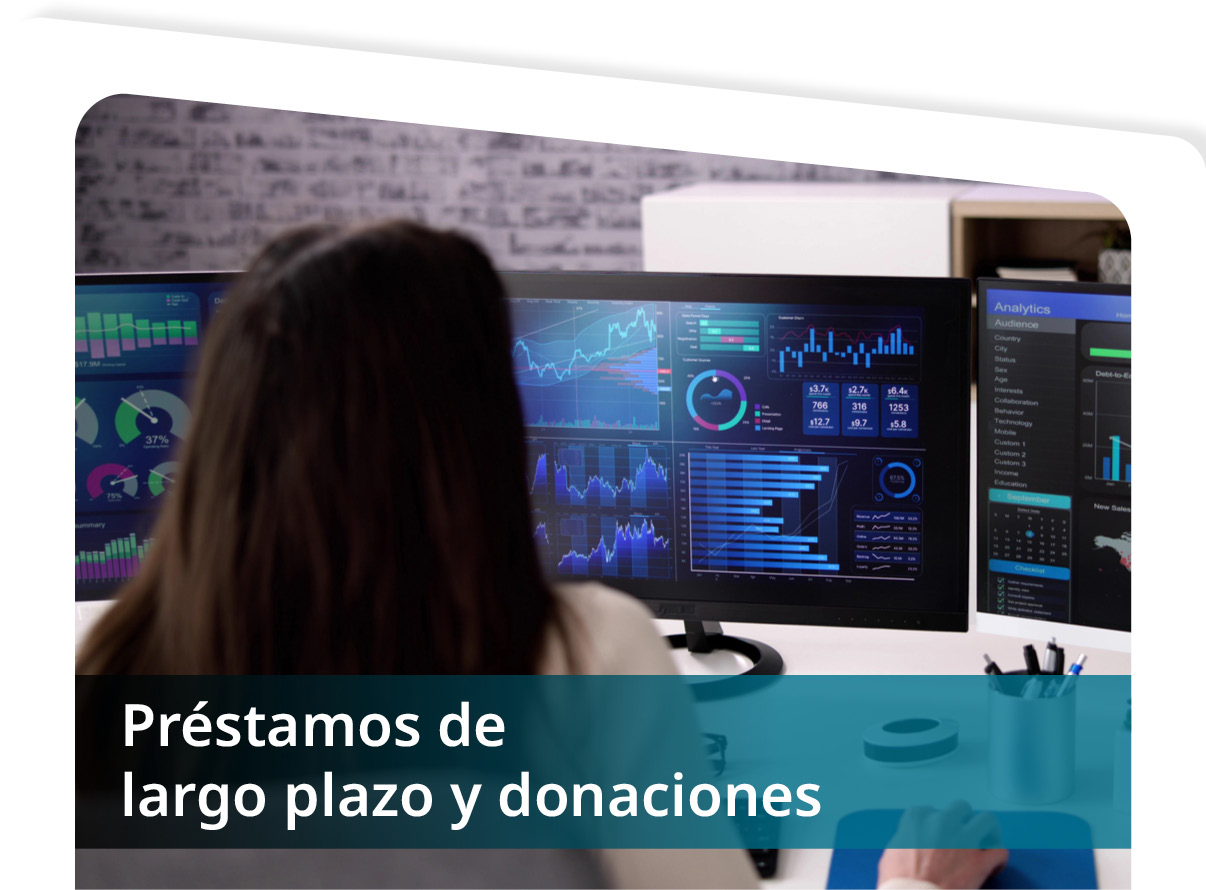 Pr�stamos de Largo Plazo y Donaciones Mini