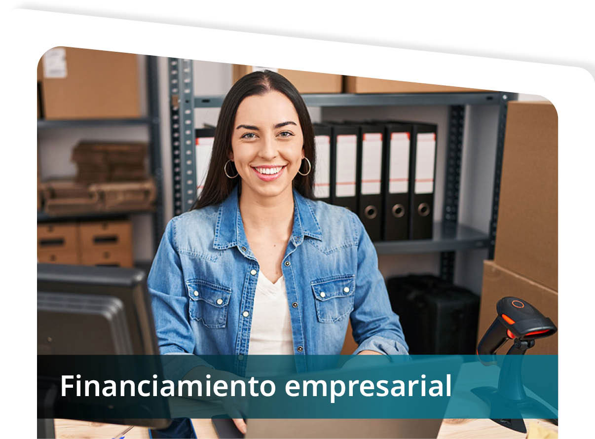 Financiamiento Empresarial Mini