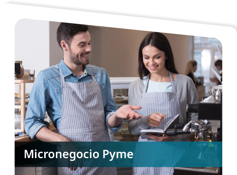 Micronegocio Pyme Mini