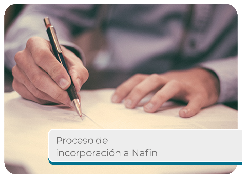  Proceso de Incorporaci�n a Nafin Mini