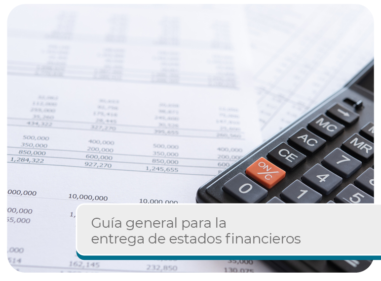 Gu�a general para la entrega de Estados Financieros  Mini