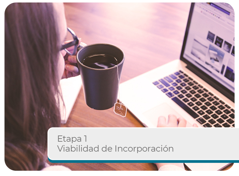Etapa 1 Viabilidad de Incorporaci�n Mini