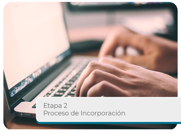 Etapa 2 Proceso de Incorporaci�n Mini