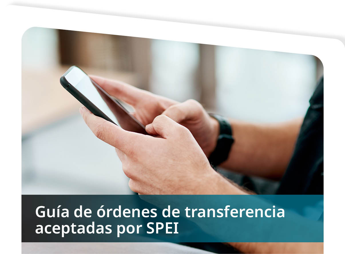 Gu�a de �rdenes de Transferencia Aceptadas por SPEI Mini
