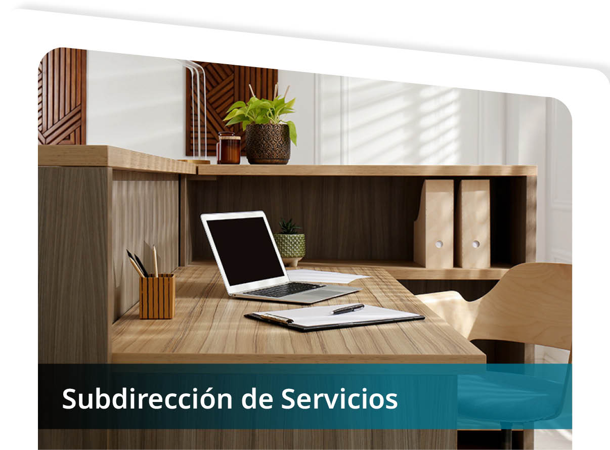 Subdirecci�n de Servicios Mini