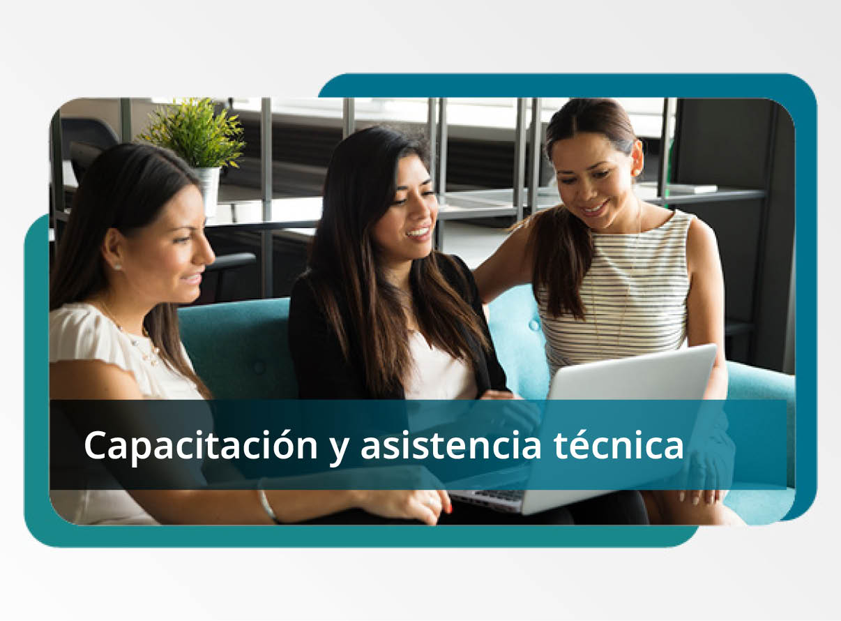 Capacitaci�n y Asistencia T�cnica Mini