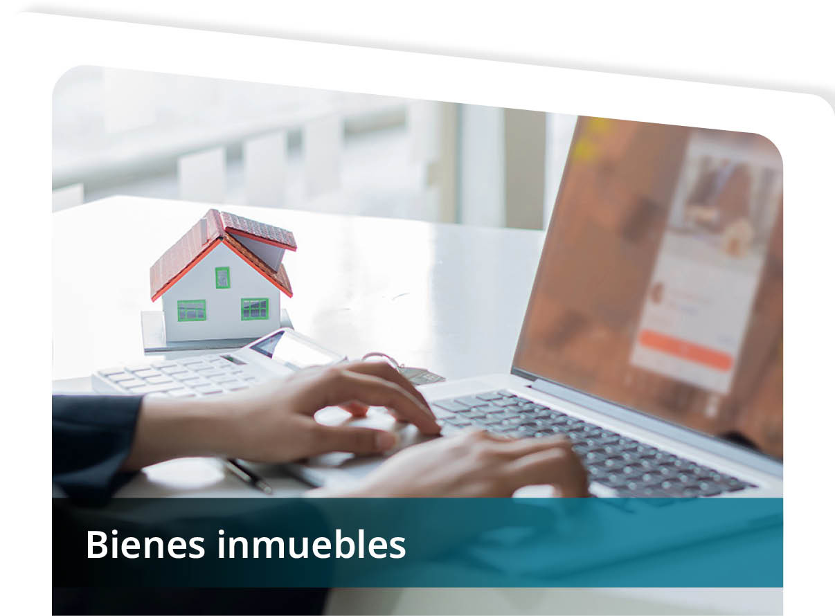 Bienes Inmuebles Mini