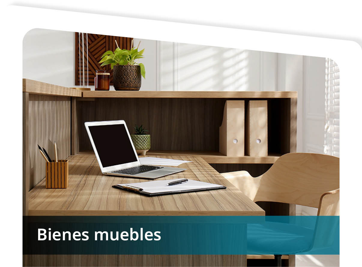 Bienes Muebles Mini