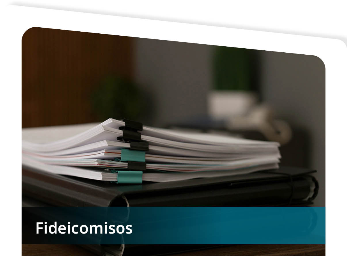 Fideicomisos Mini