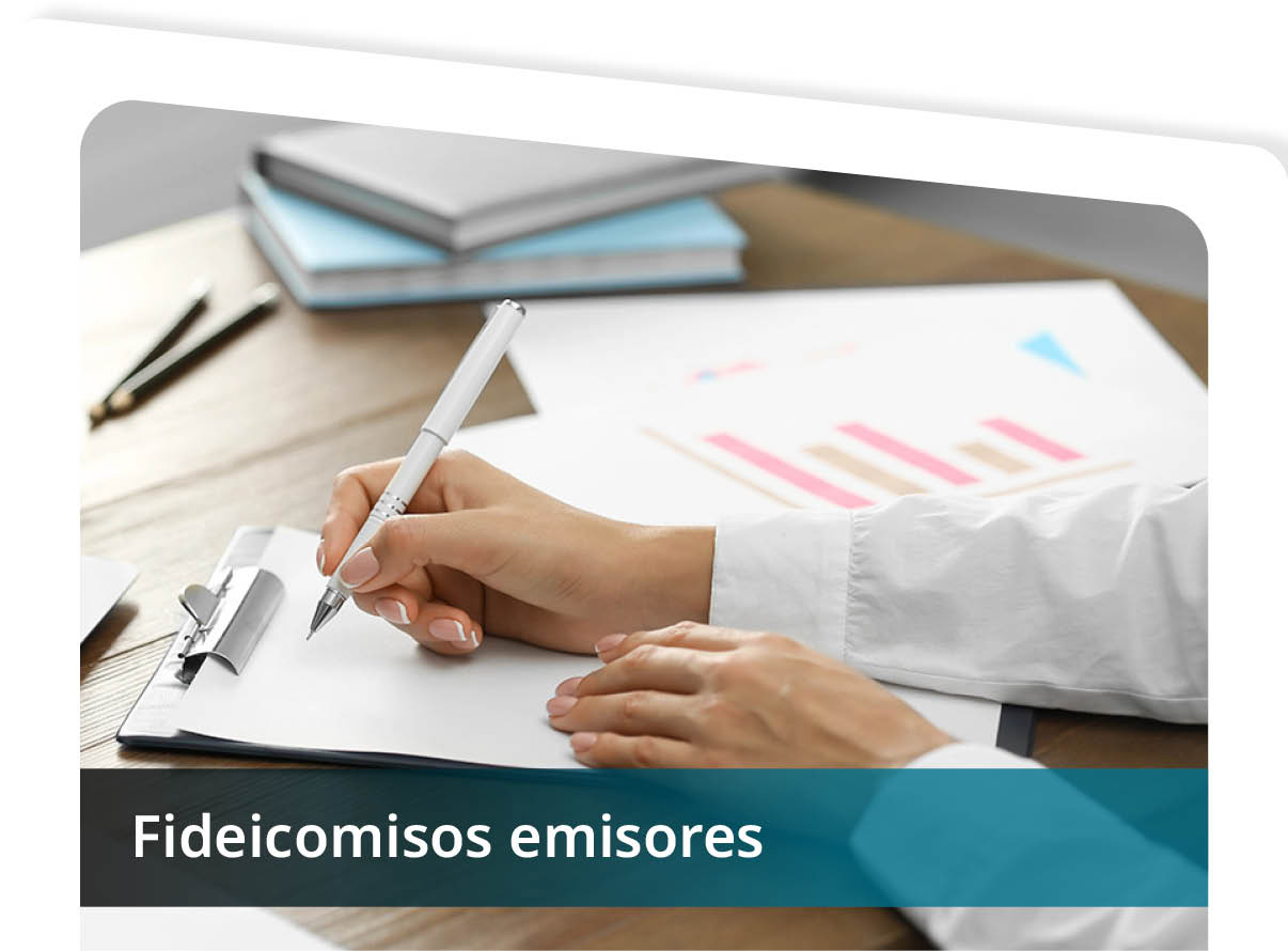 Fideicomisos Emisores Mini