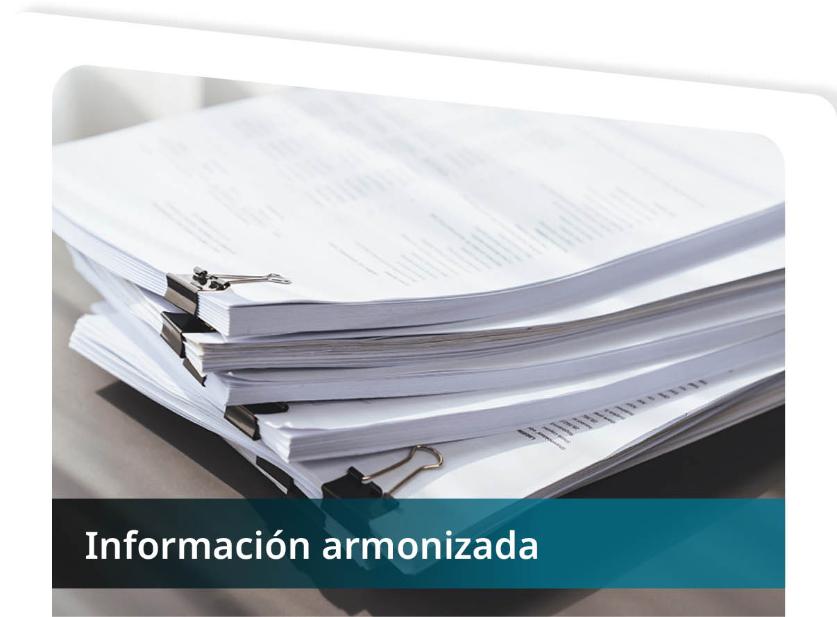 Informaci�n Armonizada Mini