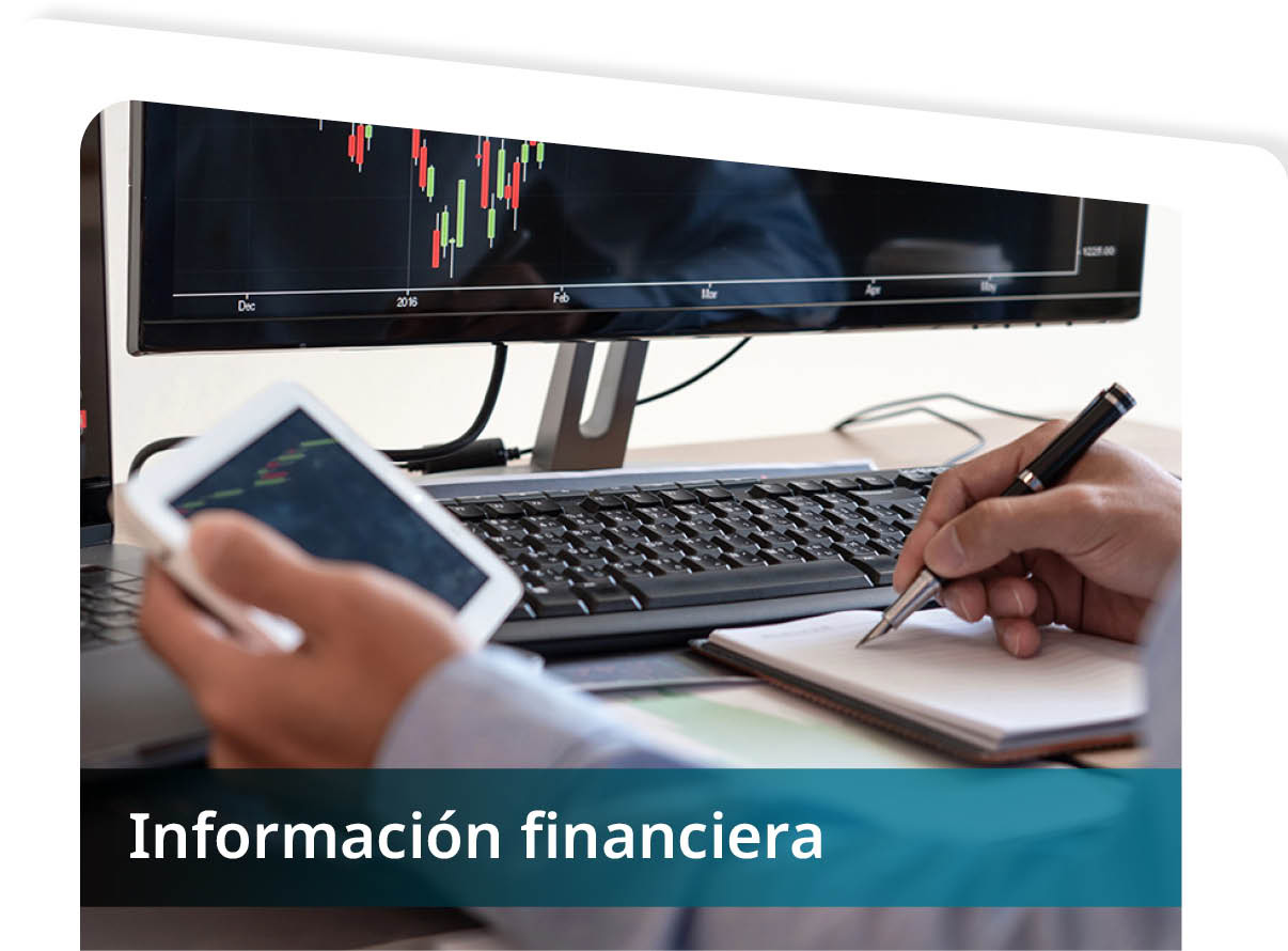 Informaci�n Financiera Mini