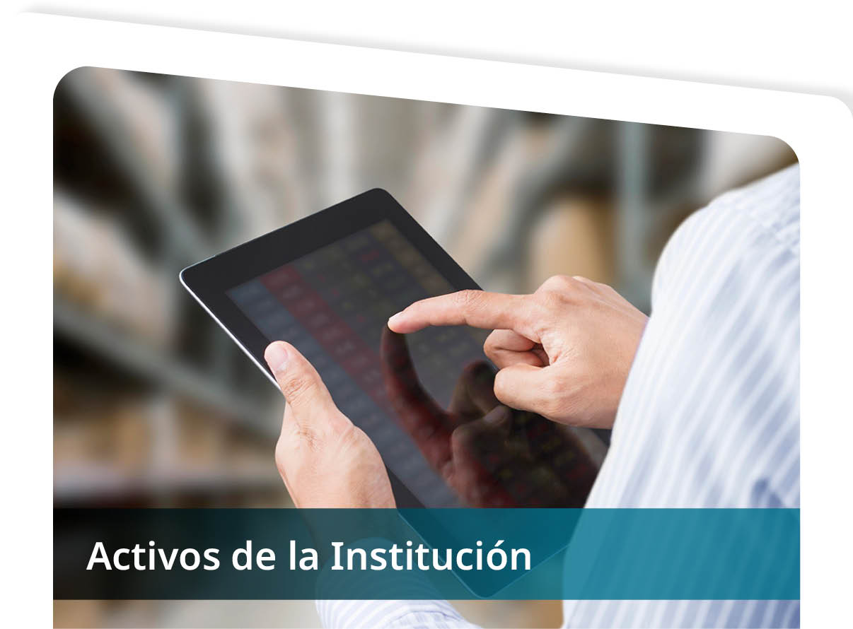 Activos de la Instituci�n Mini