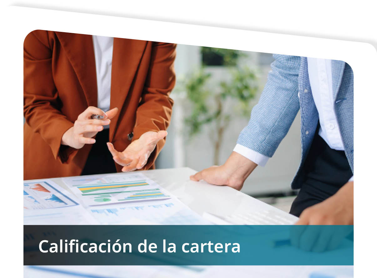 Calificaci�n de la Cartera Mini