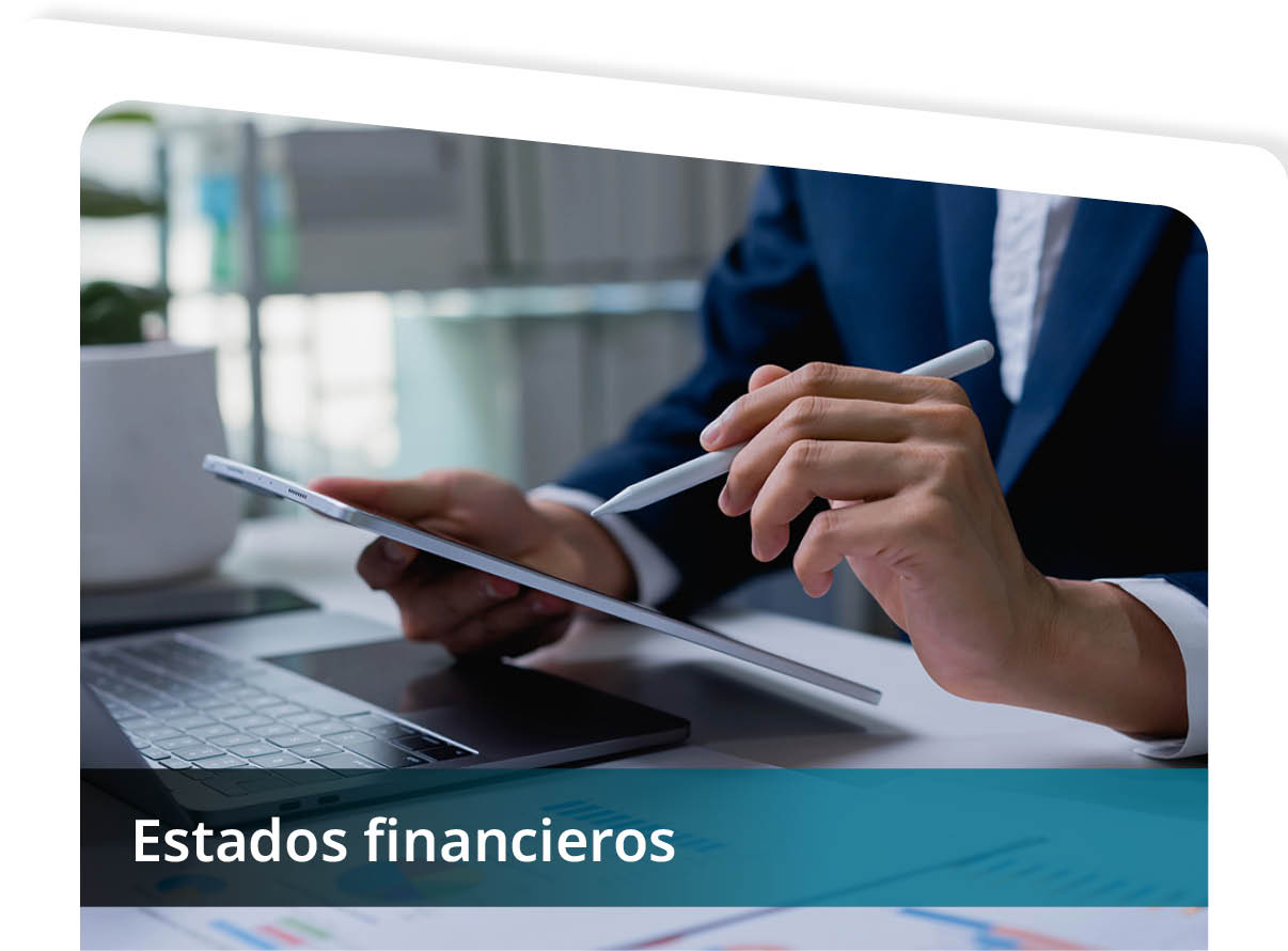 Estados Financieros Mini