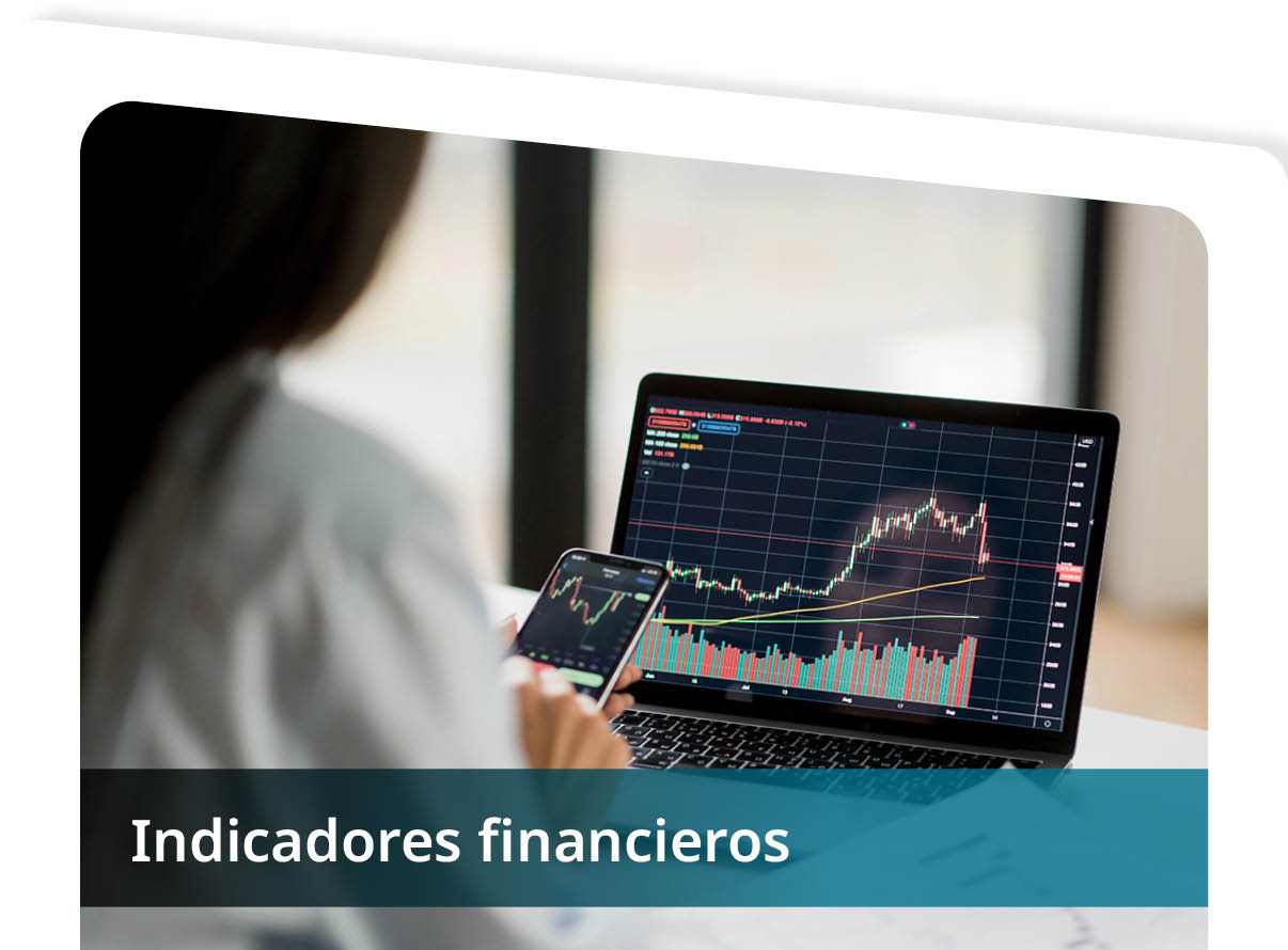 Indicadores Financieros Mini