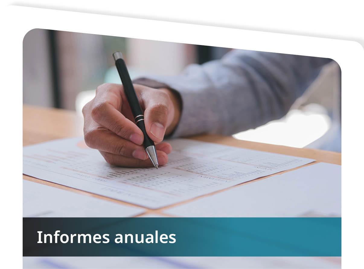 Informes Anuales Mini