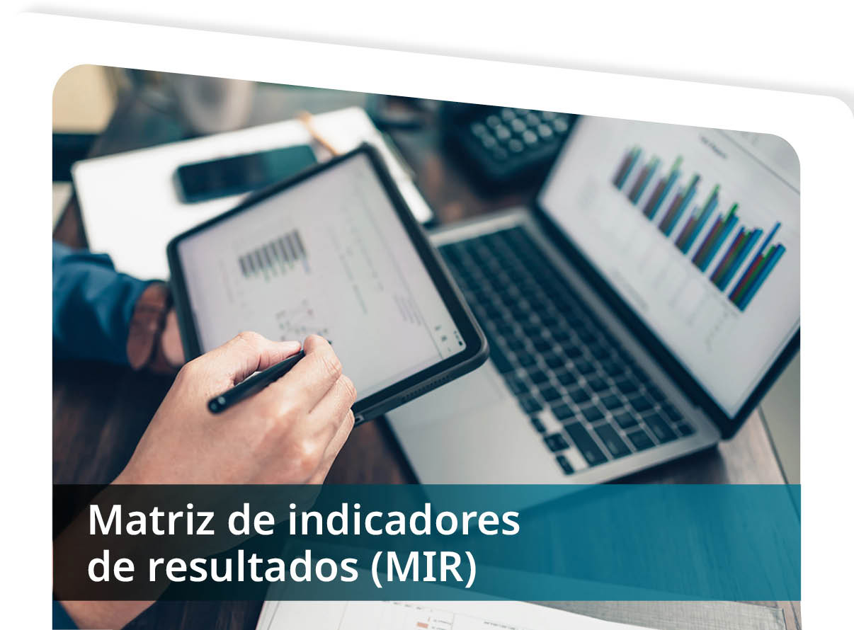 Matriz de Indicadores para Resultados (MIR) Mini