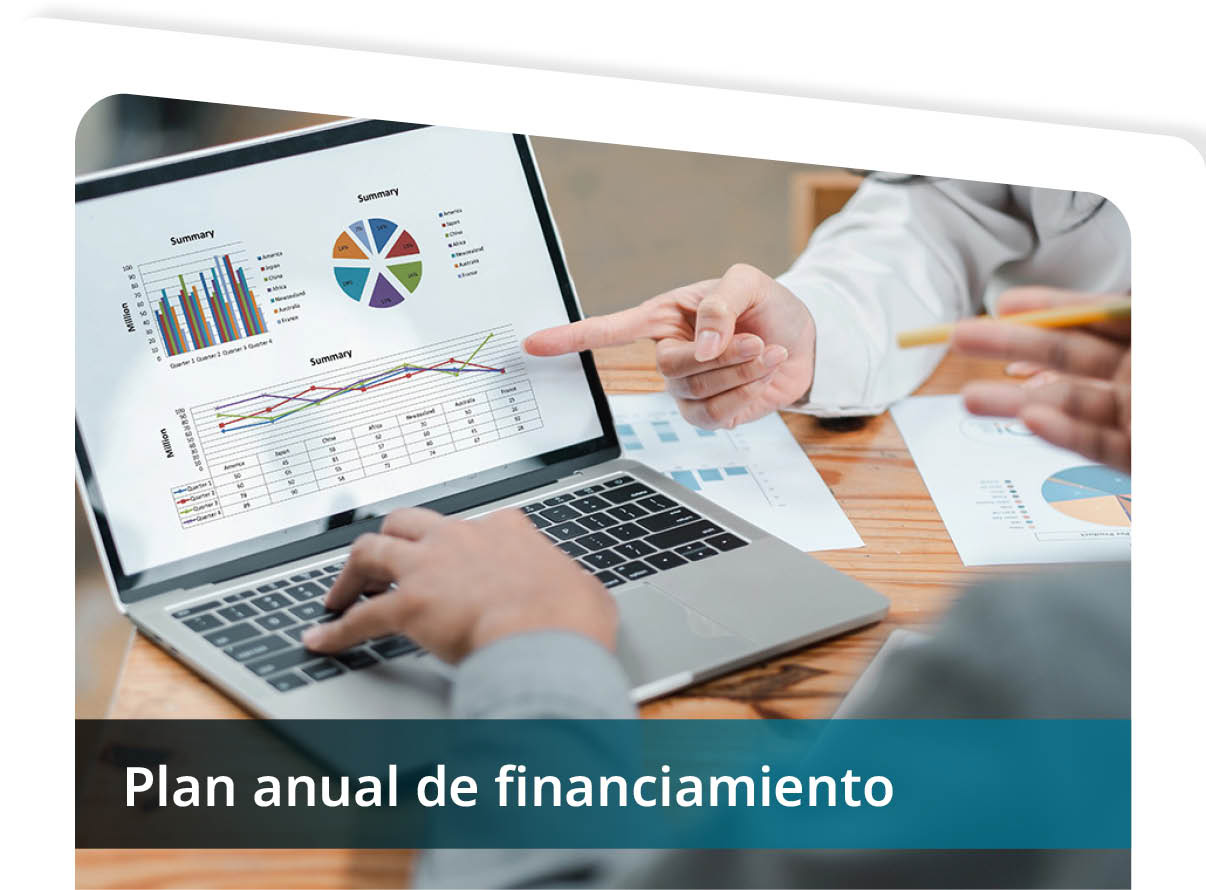 Plan Anual de Financiamiento Mini