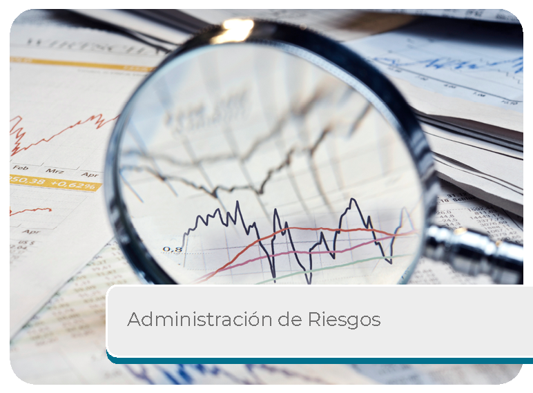 Administraci�n de Riesgos Mini