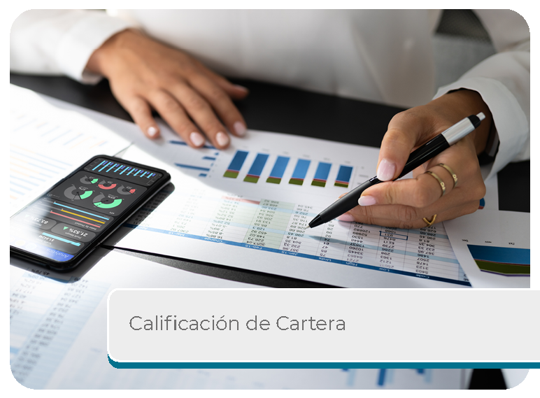 Calificaci�n de la Cartera Mini