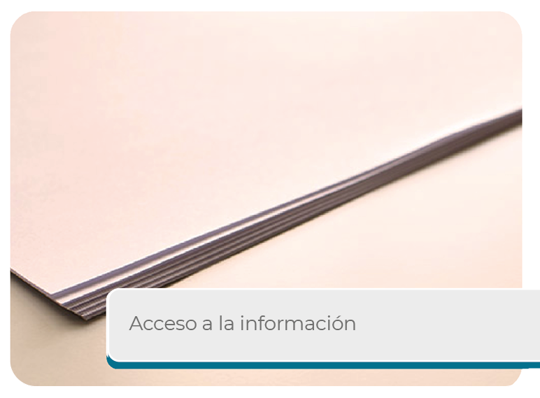 Acceso a la Informaci�n Mini