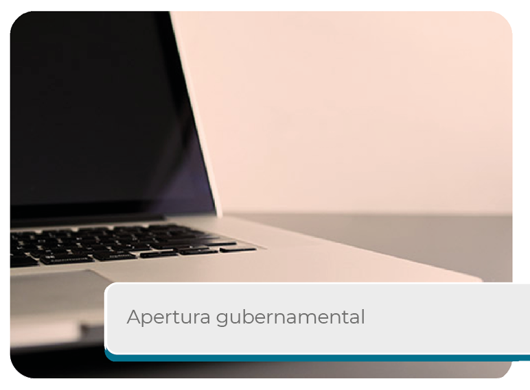 Apertura Gubernamental Mini
