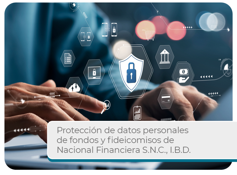 Protecci�n de Datos Personales de Fondos y Fideicomisos de Nacional Financiera S.N.C., I.B.D. Mini