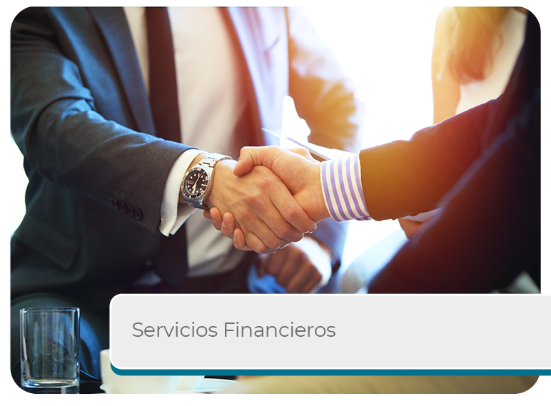 Servicios Financieros  Mini