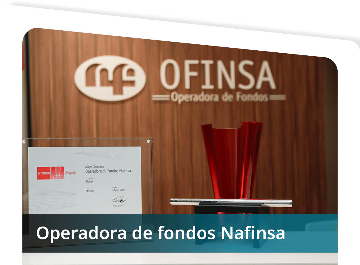Operadora de Fondos Nafinsa Mini