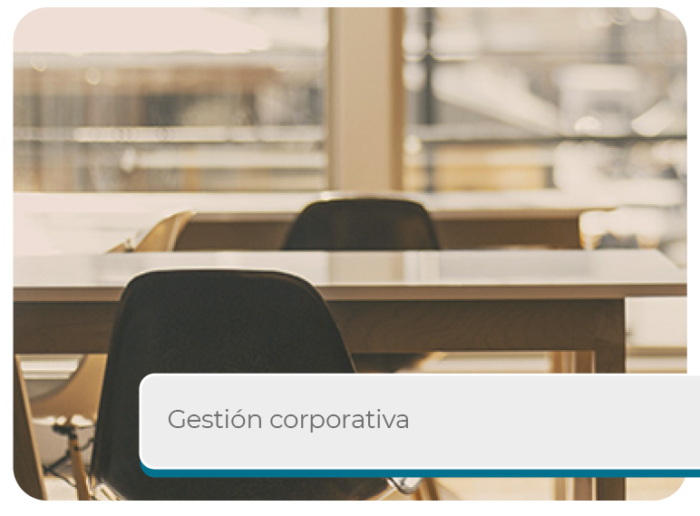 Gesti�n Corporativa Mini