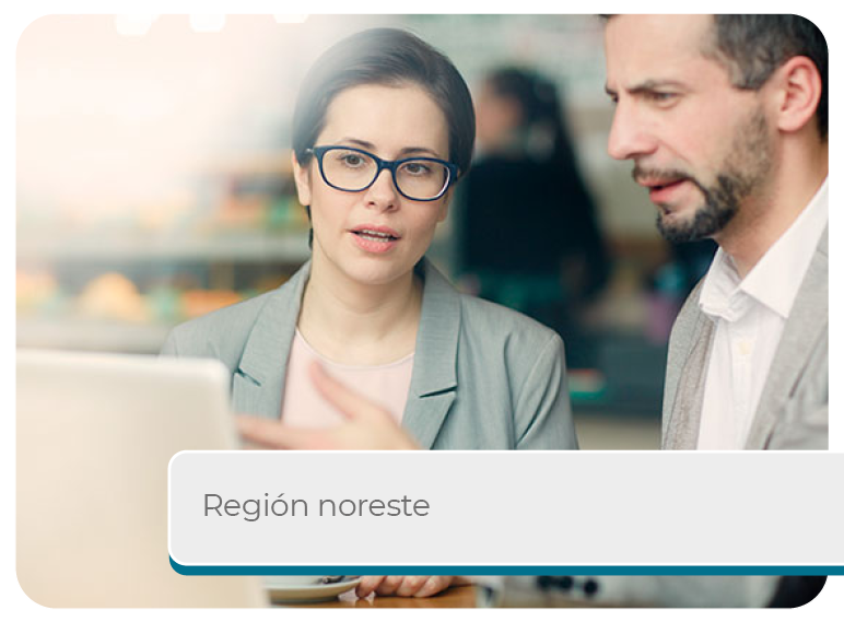 Regi�n Noreste Mini