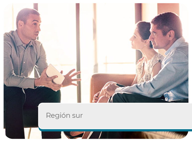 Regi�n Sur Mini