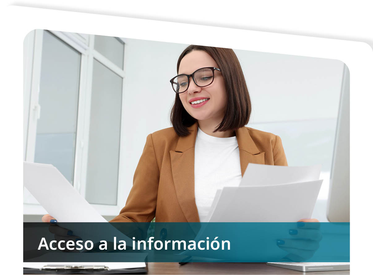 Acceso a la Informaci�n Mini