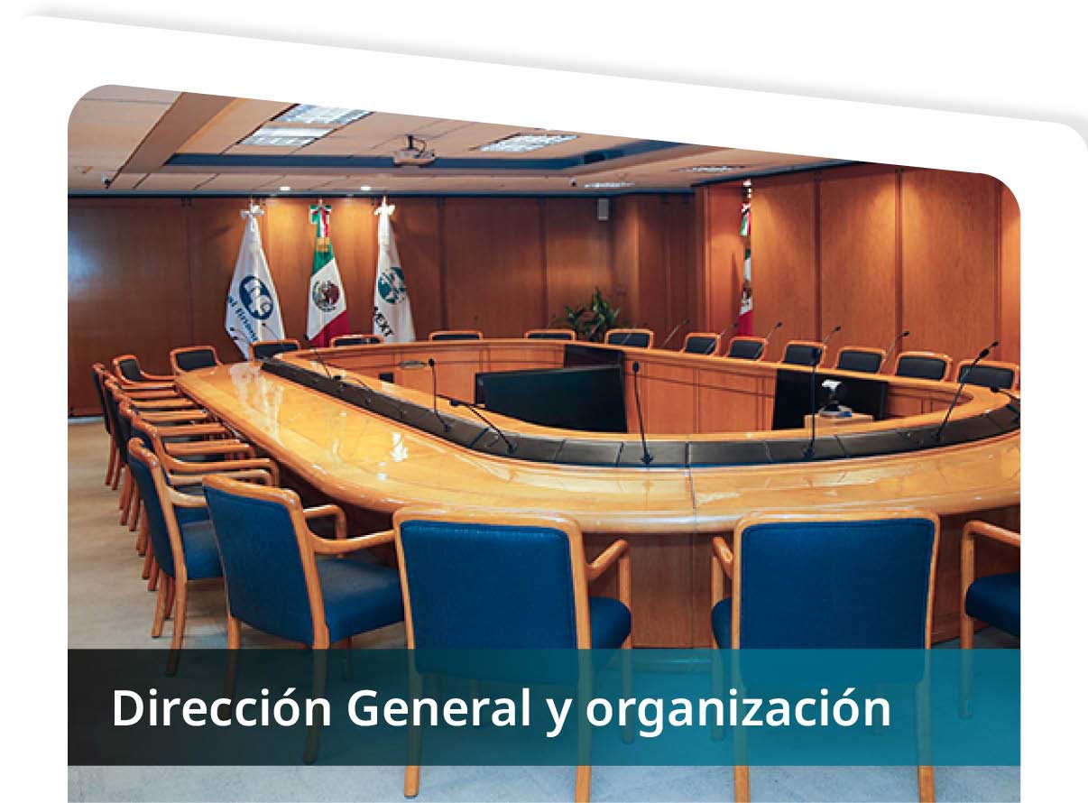  Direcci�n General y Organizaci�n Mini