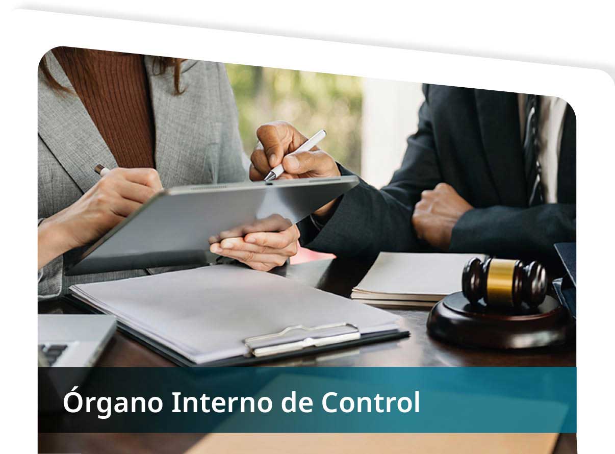�rgano Interno de Control Mini