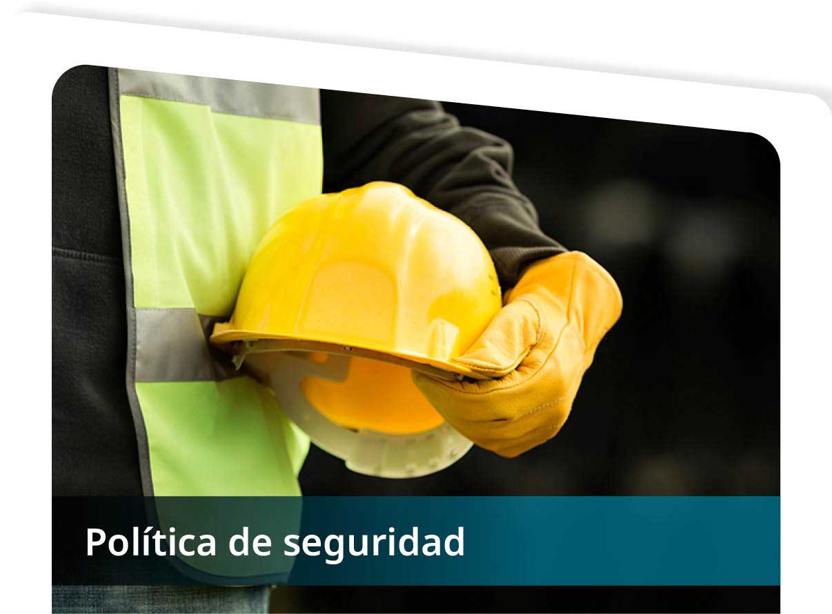 Pol�tica de Seguridad Mini